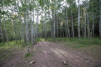 Enlarge photo 13