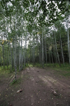 Enlarge photo 14