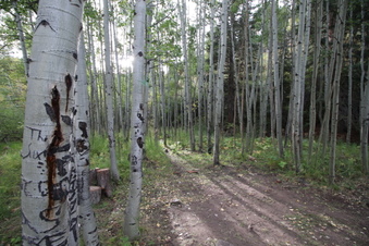 Enlarge photo 15