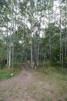 Enlarge photo 17