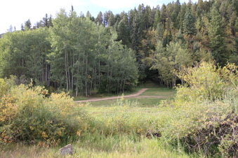 Enlarge photo 3