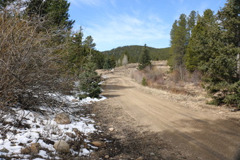 Enlarge photo 15
