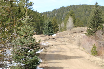 Enlarge photo 16
