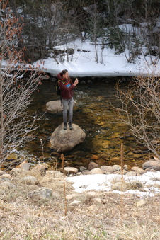 Enlarge photo 18