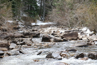Enlarge photo 32