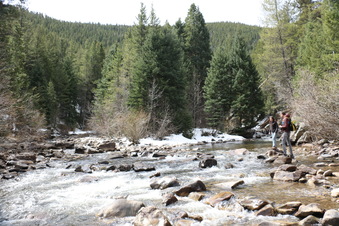 Enlarge photo 33