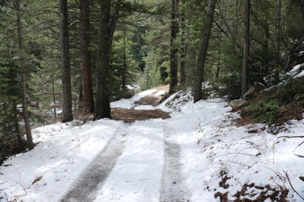 Enlarge photo 36