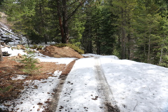 Enlarge photo 37