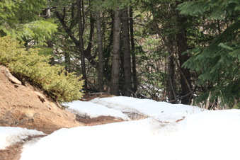 Enlarge photo 38