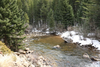 Enlarge photo 43