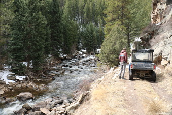Enlarge photo 45