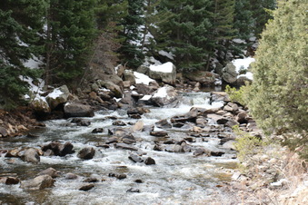 Enlarge photo 46