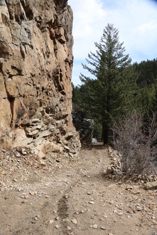 Enlarge photo 49