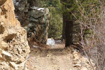 Enlarge photo 50