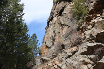 Enlarge photo 51