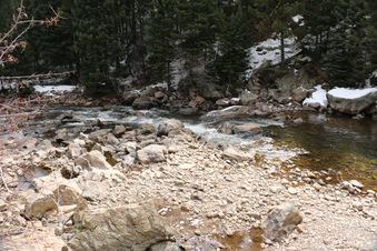 Enlarge photo 54