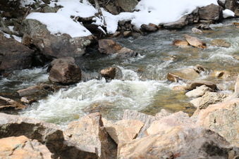 Enlarge photo 58