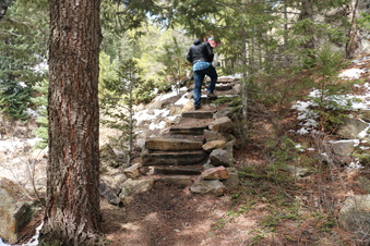 Enlarge photo 59