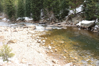 Enlarge photo 63