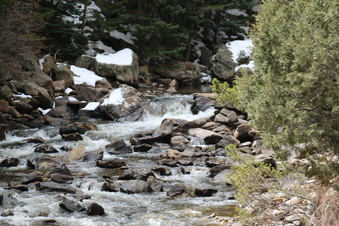 Enlarge photo 67