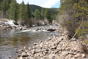 Enlarge photo 68
