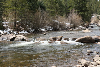 Enlarge photo 69