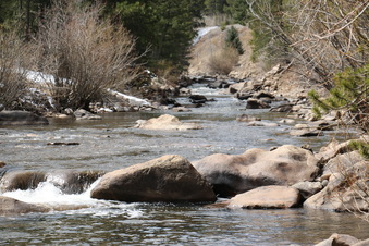 Enlarge photo 70