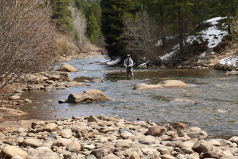 Enlarge photo 72