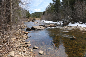 Enlarge photo 74