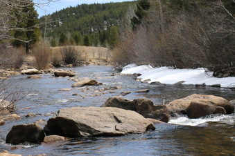 Enlarge photo 75