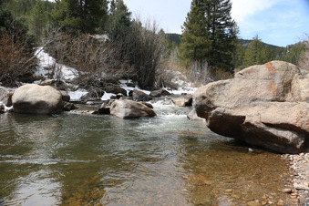Enlarge photo 76