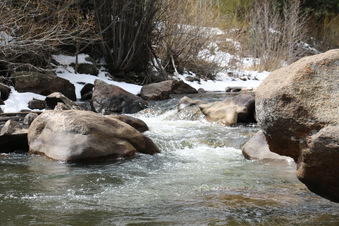 Enlarge photo 77