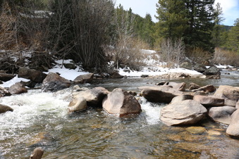 Enlarge photo 79