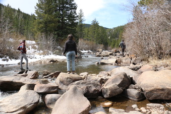 Enlarge photo 81