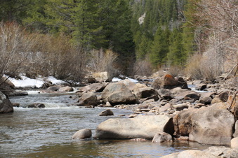Enlarge photo 82