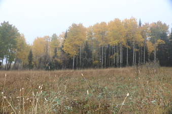 Enlarge photo 159