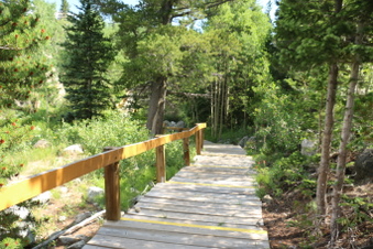 Enlarge photo 13