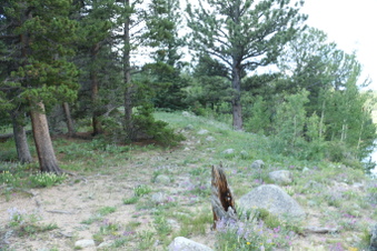 Enlarge photo 28