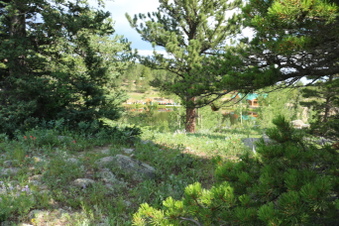 Enlarge photo 33