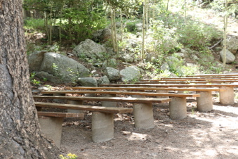Enlarge photo 40