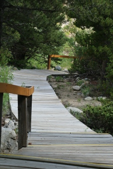 Enlarge photo 44