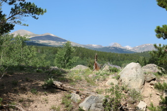 Enlarge photo 45