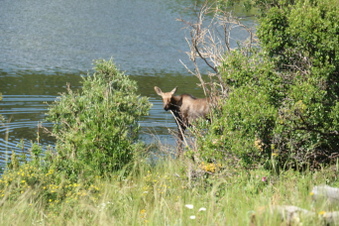 Enlarge photo 69