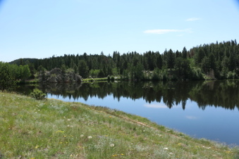 Enlarge photo 77