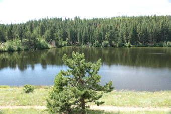 Enlarge photo 89