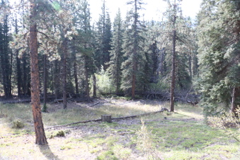 Enlarge photo 59