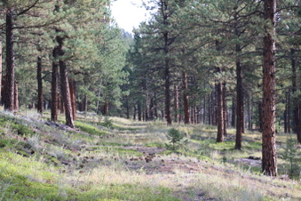 Enlarge photo 63