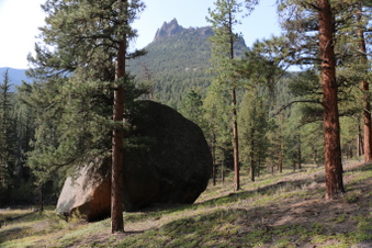 Enlarge photo 65