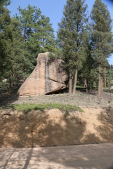 Enlarge photo 66