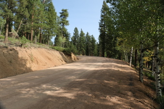 Enlarge photo 67